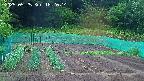 kannonmori-20250525182016.jpg