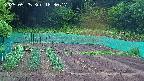 kannonmori-20250525183019.jpg