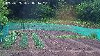 kannonmori-20250525184015.jpg