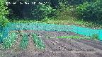 kannonmori-20250526102016.jpg
