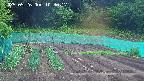 kannonmori-20250526103017.jpg