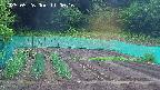 kannonmori-20250526110016.jpg