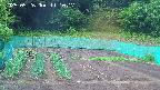 kannonmori-20250526111017.jpg