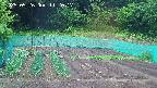 kannonmori-20250526112018.jpg
