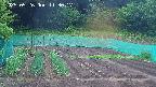 kannonmori-20250526113018.jpg