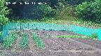 kannonmori-20250526115016.jpg