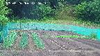 kannonmori-20250526122021.jpg