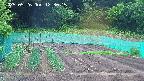 kannonmori-20250526123016.jpg