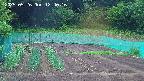 kannonmori-20250526124017.jpg