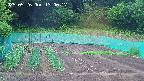 kannonmori-20250526130018.jpg