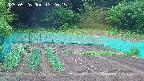 kannonmori-20250526132015.jpg