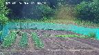 kannonmori-20250526133018.jpg