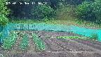 kannonmori-20250526134019.jpg
