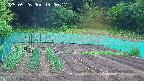 kannonmori-20250526140017.jpg