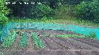 kannonmori-20250526141018.jpg