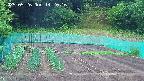 kannonmori-20250526142017.jpg