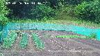 kannonmori-20250526143017.jpg