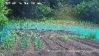 kannonmori-20250526145015.jpg