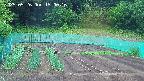 kannonmori-20250526150016.jpg