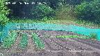 kannonmori-20250526151015.jpg