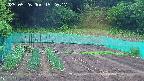 kannonmori-20250526152018.jpg