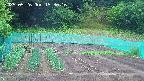 kannonmori-20250526153016.jpg