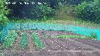 kannonmori-20250526154017.jpg