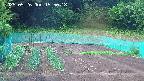 kannonmori-20250526155019.jpg