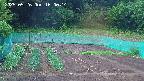 kannonmori-20250526160015.jpg
