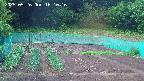 kannonmori-20250526161016.jpg