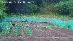 kannonmori-20250526162014.jpg
