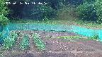 kannonmori-20250526163017.jpg