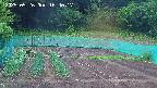 kannonmori-20250526164017.jpg