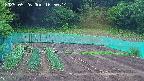 kannonmori-20250526165015.jpg