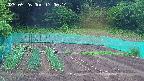 kannonmori-20250526170015.jpg