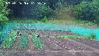 kannonmori-20250526171017.jpg