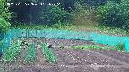 kannonmori-20250526173017.jpg