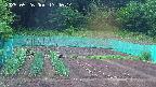 kannonmori-20250526174015.jpg