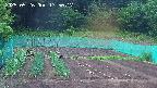 kannonmori-20250526175017.jpg