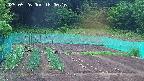 kannonmori-20250526180017.jpg