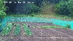 kannonmori-20250526181017.jpg