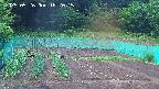 kannonmori-20250526182015.jpg