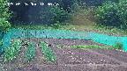 kannonmori-20250526183017.jpg