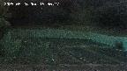 kannonmori-20250526193018.jpg