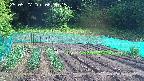 kannonmori-20250527083017.jpg
