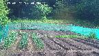 kannonmori-20250527084015.jpg