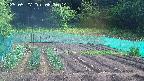 kannonmori-20250527085015.jpg