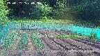 kannonmori-20250527090015.jpg