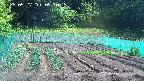 kannonmori-20250527091015.jpg