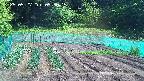kannonmori-20250527093015.jpg
